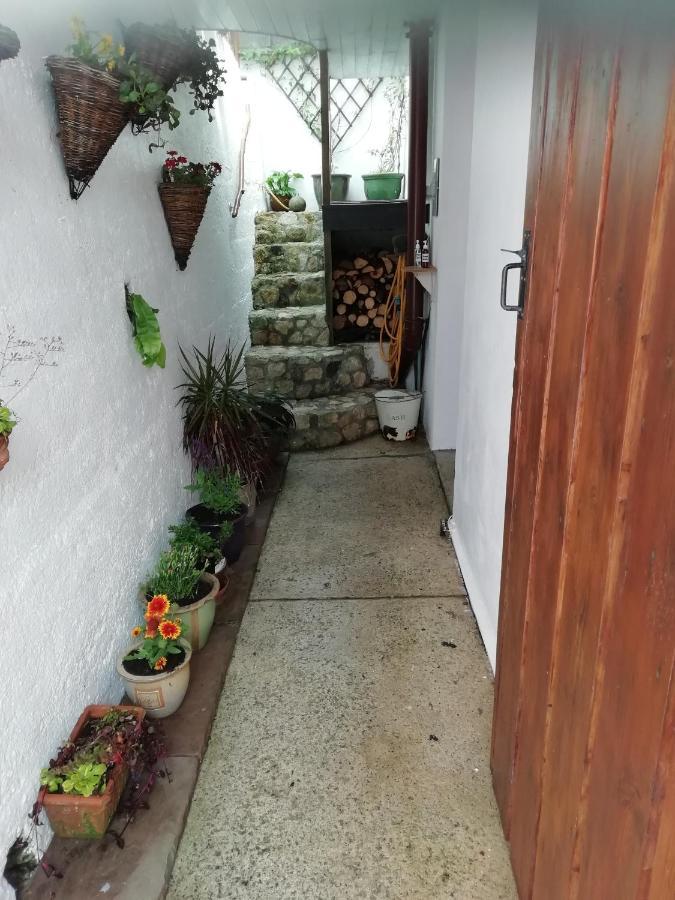 Clearview Cottage St Austell Dış mekan fotoğraf