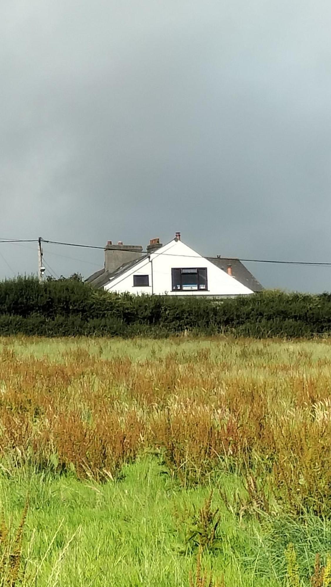 Clearview Cottage St Austell Dış mekan fotoğraf